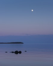Moonrise on the lagoon on Rügen, Rügen, Glowitz, Mecklenburg-Western Pomerania, Germany