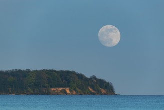 Full moon on the lagoon on Rügen, Rügen, Glowitz, Mecklenburg-Western Pomerania, Germany