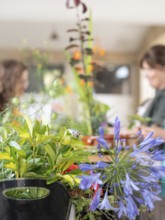 Florists are creating beautiful ikebana arrangements during a workshop, using various colorful
