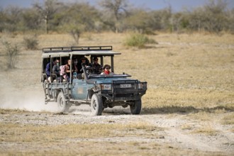 Safari vehicle with Planet Baobab guests, lodge near the village of Gweta, Makgadikgadi Pans