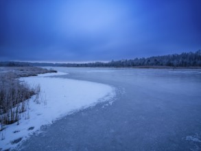Frozen moor lake in wintery Ainringer Moor, also moss, Ainring, Berchtesgadener Land, Upper