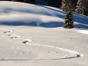 Lonely ski trail in deep snow, Berchtesgaden Alps, Berchtesgaden National Park, Schönau am