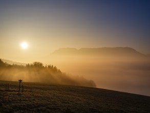 Meadow with birdhouses over high fog at sunrise, Untersberg in the background, Högl, Anger,