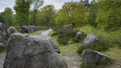 Glan Bride, Glander Steine, megalite grave, megalite culture, Dötlingen, Lower Saxony, Germany
