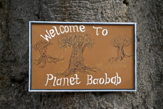 Planet Baobab sign, lodge near the village of Gweta, Makgadikgadi Pans National Park, Central