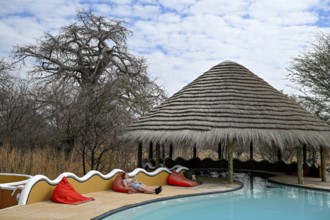 Planet Baobab swimming pool, lodge near the village of Gweta, Makgadikgadi Pans National Park,