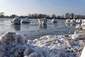 Ice skating on the Elbe with small icebergs on the water and on the banks of the Elbe Island near