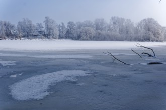 This winter day at the frozen Sandbrack Lake in Hamburg's Vier- und Marschlanden. Kirchwerder,