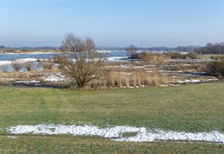 Icy riverbanks of the Elbe and remnants of snow in the foothills of the Elbe on a clear winter day.