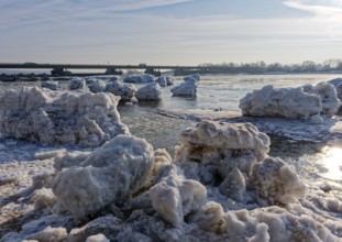 Ice skating on the Elbe with small icebergs on the water and on the banks of the Elbe Island near