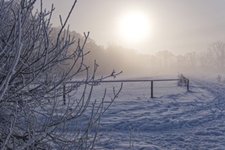 Traces in the snow in the diffuse light of the sun on a hazy winter day in Hamburg's Vier- und
