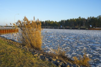Winter landscape with canal lined with reeds and trees under clear blue sky, ice floes, Hohenwarthe