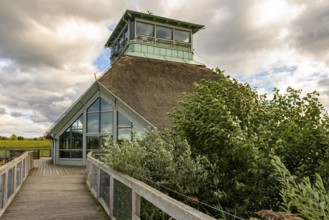 Naturum Hornborgasjön modern thatched building with glass front and thatched roof, which stands in