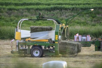 Tractor wraps hay bales in a field with a round baler in plastic film to preserve hay, Osnabrücker