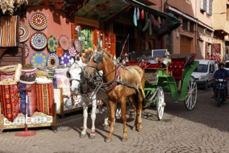 Horses and horse-drawn carriage for sightseeing tours with tourists in an old town alley,