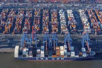 Container ships at CTA, container terminal Altenwerder, container ship, export, cargo ship, port,