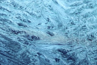 Beautiful ice flowers on a window, winter, Germany