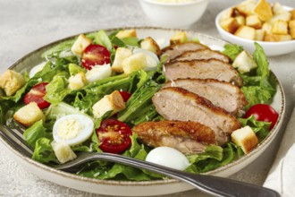 Caesar salad, with duck breast, on a light plate, on a light background, homemade, no people