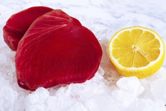 Fresh tuna and lemon, on ice ready, for preparation, at a seafood market