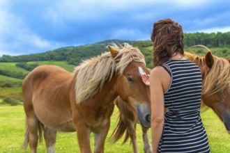 Woman gently touching a brown horse in a vibrant green pasture under a blue sky, fostering a