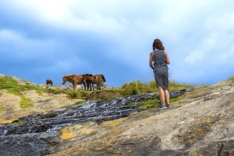 Woman standing on rocky slope, watching a herd of wild horses grazing on a grassy hillside beside a