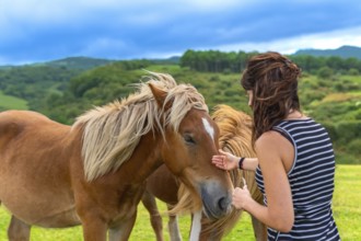 Woman gently touching a wild horse on its face, forming a connection while standing in a lush green