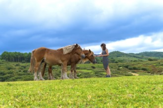 Woman gently petting two horses in a vast green field with rolling hills and a dense forest under a