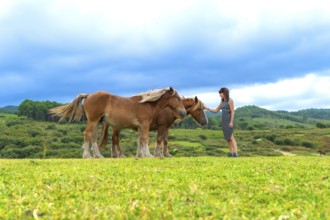 Woman standing on a lush green meadow, gently touching a wild horse while a second horse stands