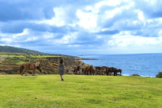 Woman standing on a grassy cliff top observing a herd of wild horses grazing near the edge, with