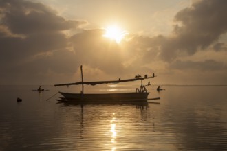 Cormorants sit on a outrigger fishing boat off the coast of Sanur, Bali, Indonesia
