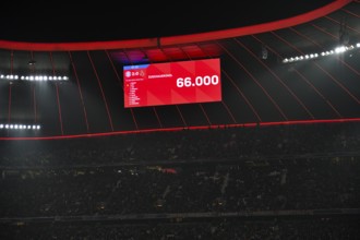 Scoreboard audience only 66, 000 for the first time in years after some of the Ultra Fans were