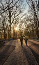 Back-lit walkers, Tiergartenpark, Berlin, Germany