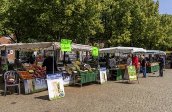 Weekly market on Bassinplatz, Potsdam, Brandenburg, Germany also