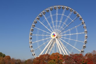 The Montreal Observation Ferris Wheel or La Grande Roue de Montreal amusement ride in autumn, Old