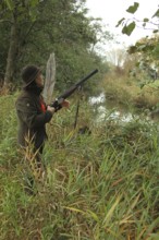 Female hunter with hunting rifle waits eagerly at the stream for flying ducks, Allgäu, Bavaria,
