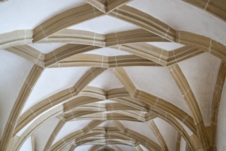 Ceiling, cloister, Blaubeuren Abbey, Swabian Jura, Baden-Württemberg, Germany