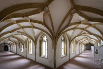 Cloister, ribbed vault, Blaubeuren Abbey, Swabian Jura, Baden-Württemberg, Germany