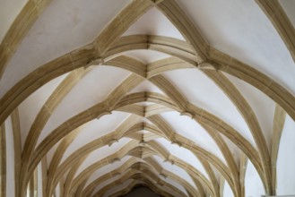 Cross-ribbed vault, cloister, Blaubeuren Abbey, Swabian Jura, Baden-Württemberg, Germany