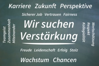 (Added) Text WE ARE LOOKING FOR REINFORCEMENT, surrounded by positive terms such as career, future,