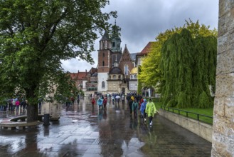Wavel Cathedral on Wavelhügel, tourist group in the rain, Krakow, Poland