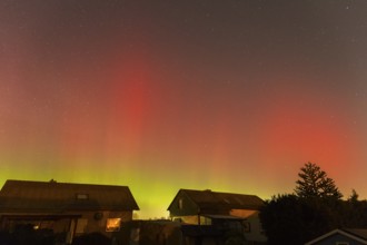 Northern lights in red and green over houses, trees and starry sky at night, aurora borealis,