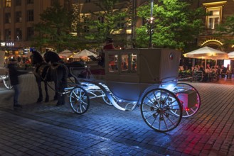 Waiting horse-drawn carriage at the market square at night, Krakow, Poland