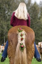 Blonde girl riding decorated horse, traditional Georgian ride at the Penzberg Hubkapelle, Upper
