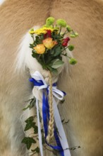 Flower-decorated horse, traditional Georgiritt, Upper Bavaria, Germany