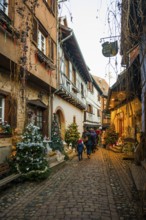 Christmassy decorated houses and alley with half-timbered houses, Christmas market, Eguisheim,