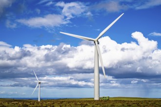 Wind Farm in southeast Scotland, UK