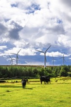 Wind Farm in southeast Scotland, UK
