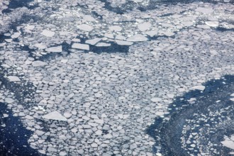 Aerial view of melting icepack in the East Greenland, Greenland (Kalaallit Nunaat), Arctic Ocean,