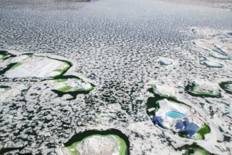 Aerial view of melting icepack and icebergs, Greenland (Kalaallit Nunaat), Arctic Ocean, climate