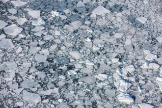 Aerial view of melting icepack in the East Greenland, Greenland (Kalaallit Nunaat), Arctic Ocean,